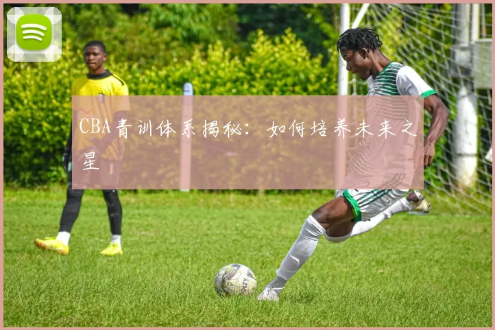 CBA青训体系揭秘:如何培养未来之星