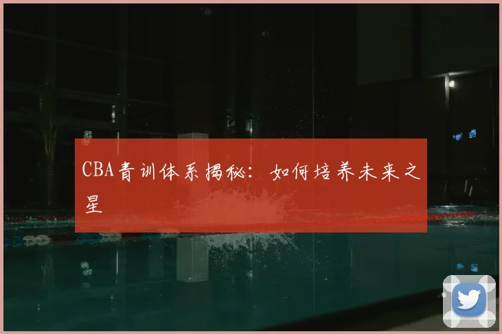 CBA青训体系揭秘:如何培养未来之星
