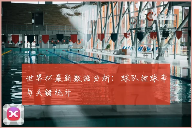 世界杯最新数据分析：球队控球率与关键统计