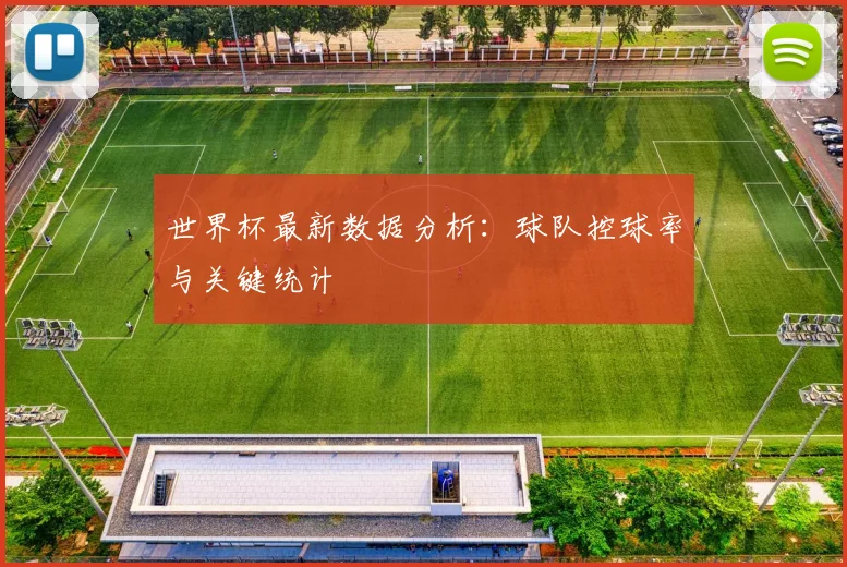 世界杯最新数据分析:球队控球率与关键统计